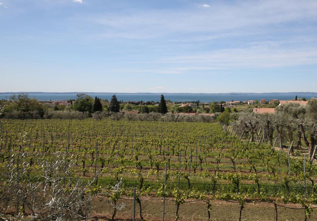 Appartamenti Bellavista باردولينو المظهر الخارجي الصورة