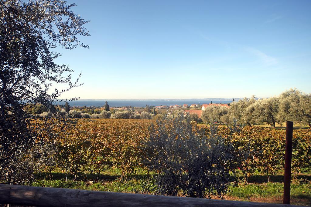 Appartamenti Bellavista باردولينو المظهر الخارجي الصورة